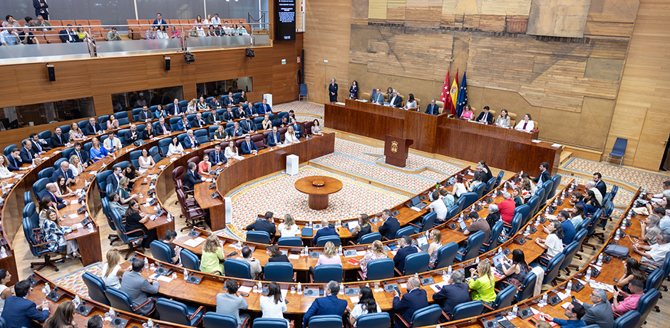 Ilustración del elemento de Pleno